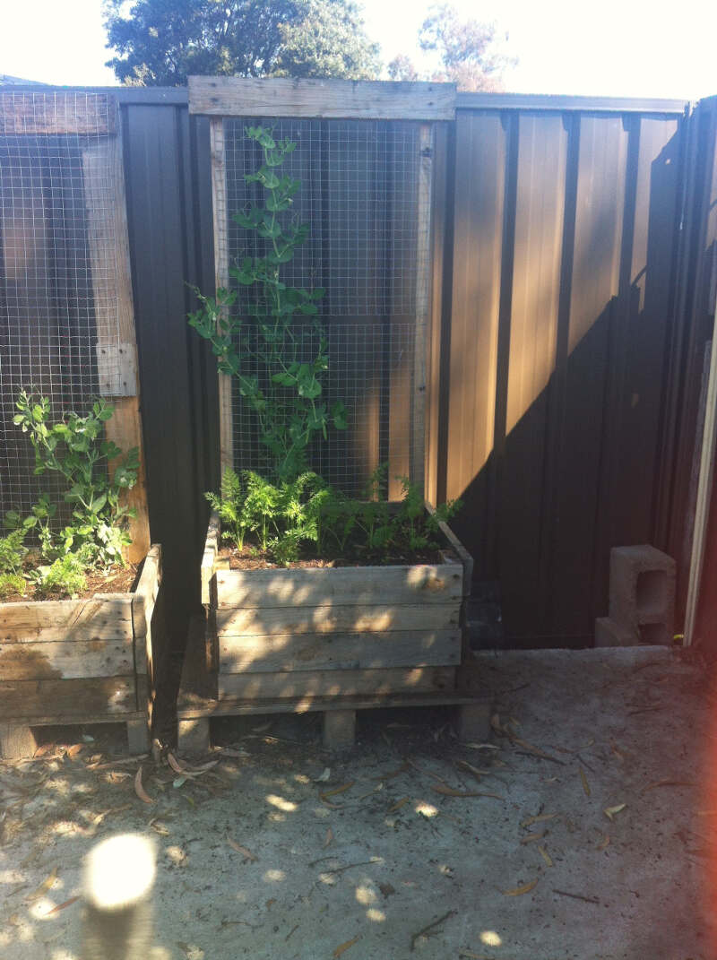 container gardens- home made planters